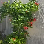 Holiday home Le Patio Des Charentes Sainte-Lheurine
