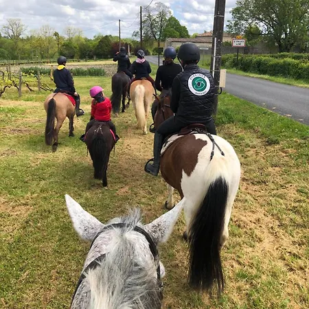 Le Patio Des Charentes