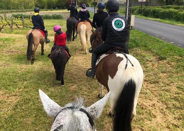 Le Patio Des Charentes